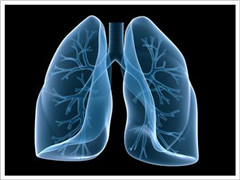 非小细胞肺癌和小细胞肺癌的治疗有什么不同？