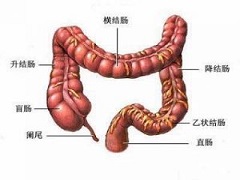 结直肠癌晚期使用雷莫芦单抗治疗