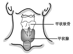 服用凡德他尼的两个副作用