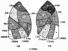 色瑞替尼副作用多吗？ 