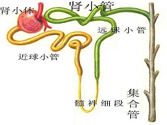 阿西替尼的赠药条件 