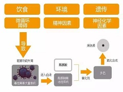 威罗菲尼不能和什么一起服用