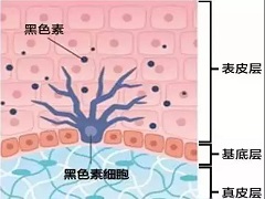 印度曲美替尼价格合适吗