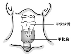 咽炎属于凡德他尼副作用