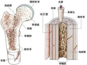 达雷木单抗的临床效果怎么样？