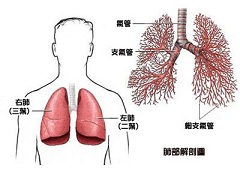 肺癌的早期症状